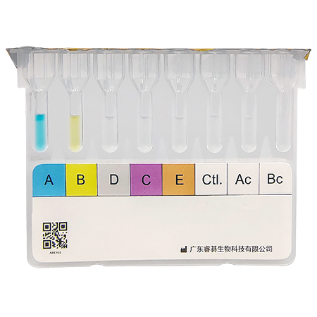 ABO forward and reverse blood grouping and Rh-DCE typing test card （column agglutination technique, CAT）