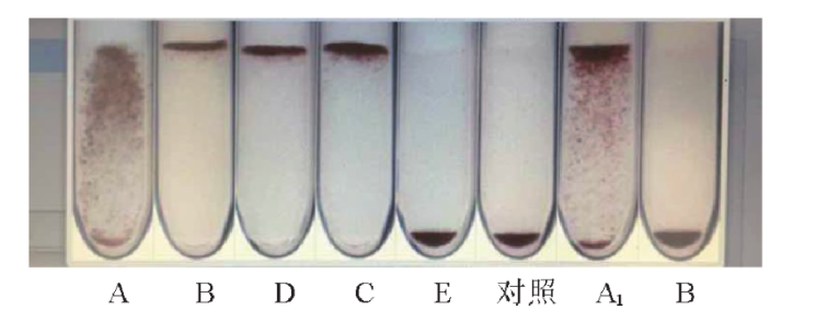 CisAB和B(A)血型的临床血清学比较